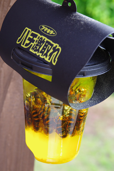 ペットボトルを利用したスズメバチの誘引トラップ | ハンドメイド人